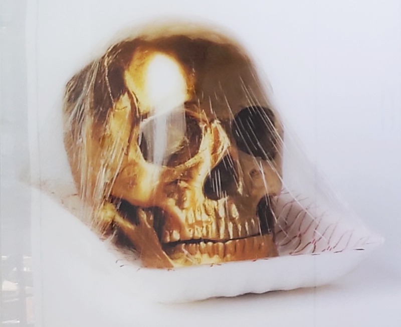 황정후,Still Object 031,2025,pigment print,76.2x60.9cm.jpg