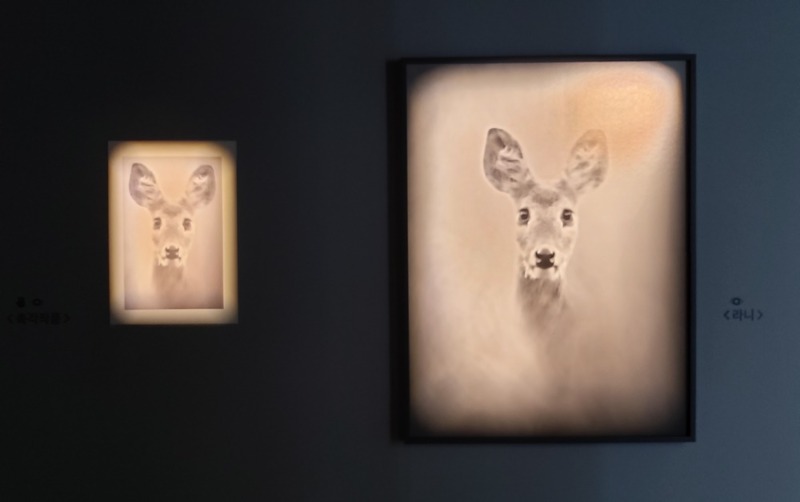 문선희,라니101,2022,디지털피그먼트프린트,150x120cm,촉각작품.jpg