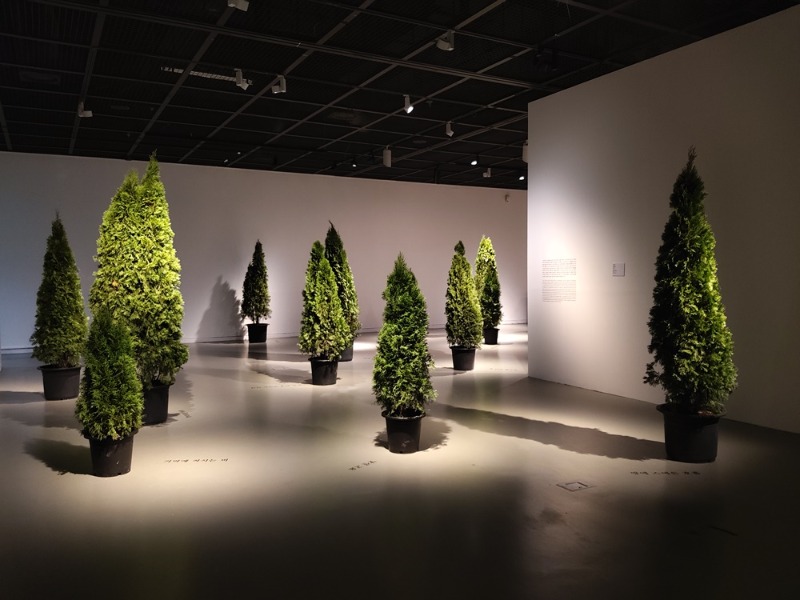 김주연,수직정원,2025,나무,흙,텍스트.jpg