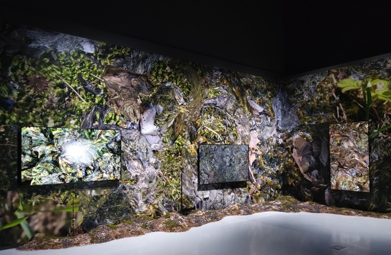 구기정,초과된풍경,2021,2025,멀티채널TV,벽지,감각환경,G.MAP,20250916-1.jpg
