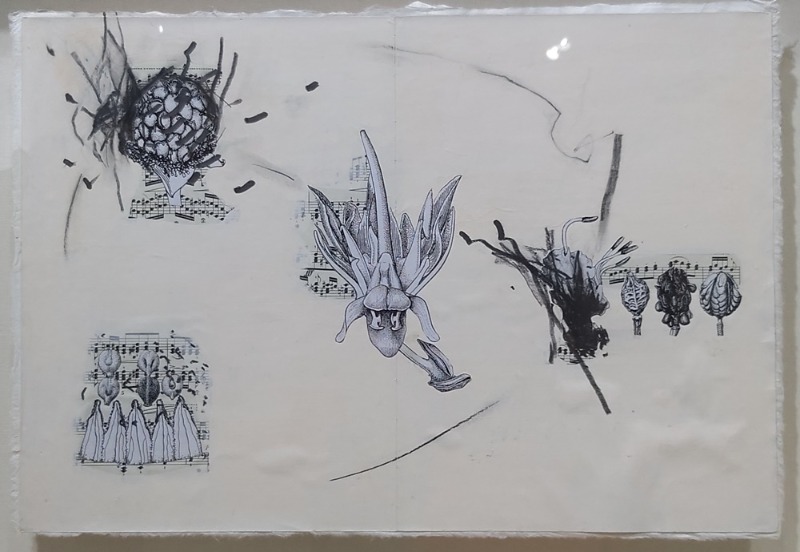 김주연,어머니께헌사,2017~2025,악보에드로잉,콜라주.jpg