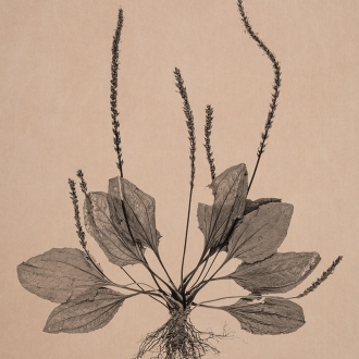 땅의 기억을 채집하며; 최근희의 작품세계