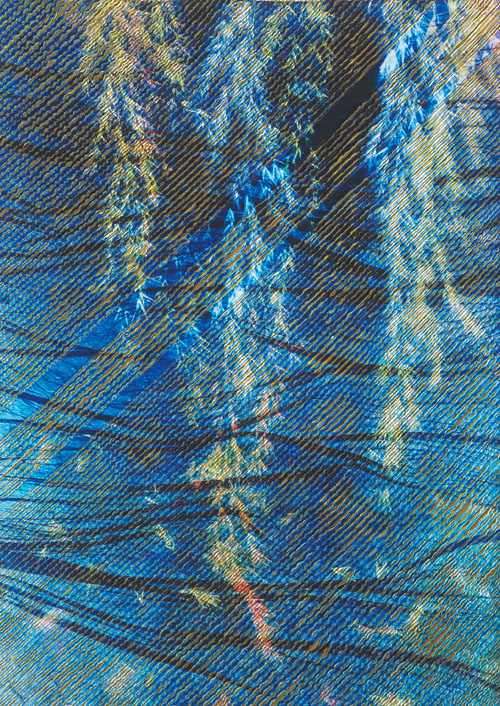 정예금 <Willow>, 2008, Transfer dyeing on Febric, 150x110cm