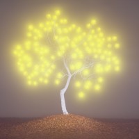 이정록|The tree of life2-6||