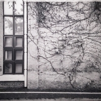 박일구 <조선대학교 의과대학 본관>, 2025, digital print on photography paper, 77x103cm