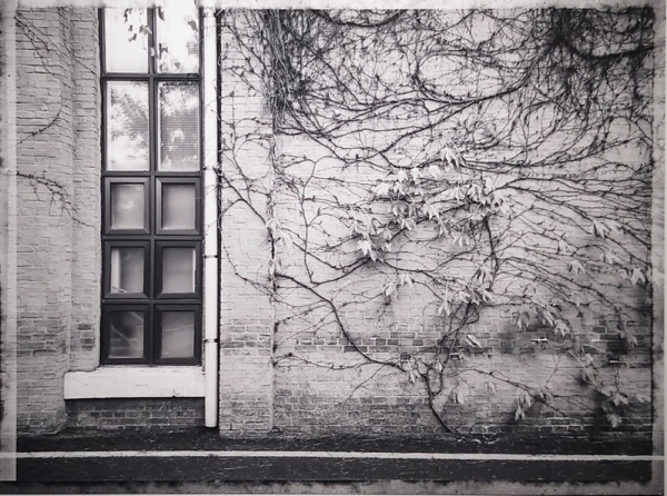 박일구 &lt;조선대학교 의과대학 본관&gt;, 2025, digital print on photography paper, 77x103cm